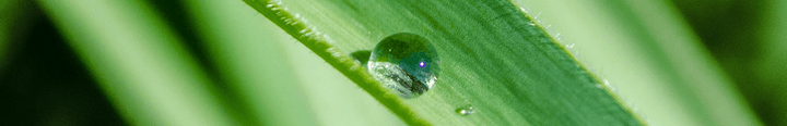 Biologische Autopflege